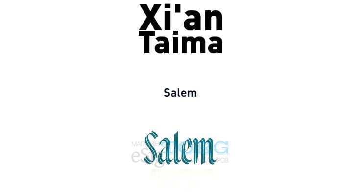 Изображение Ароматизатор Xi'an Taima Salem Ароматизатор Xi'an Taima Salem